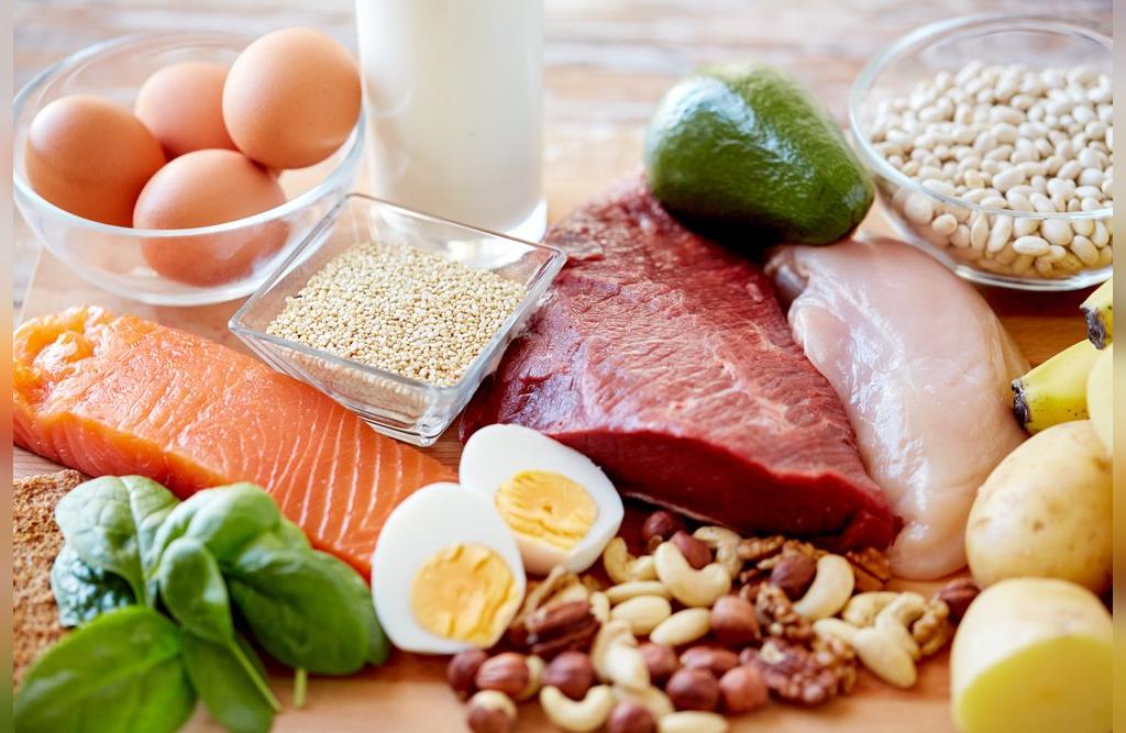 منابع و غذاهای پروتئینی شامل چه چیزهایی هستند؟