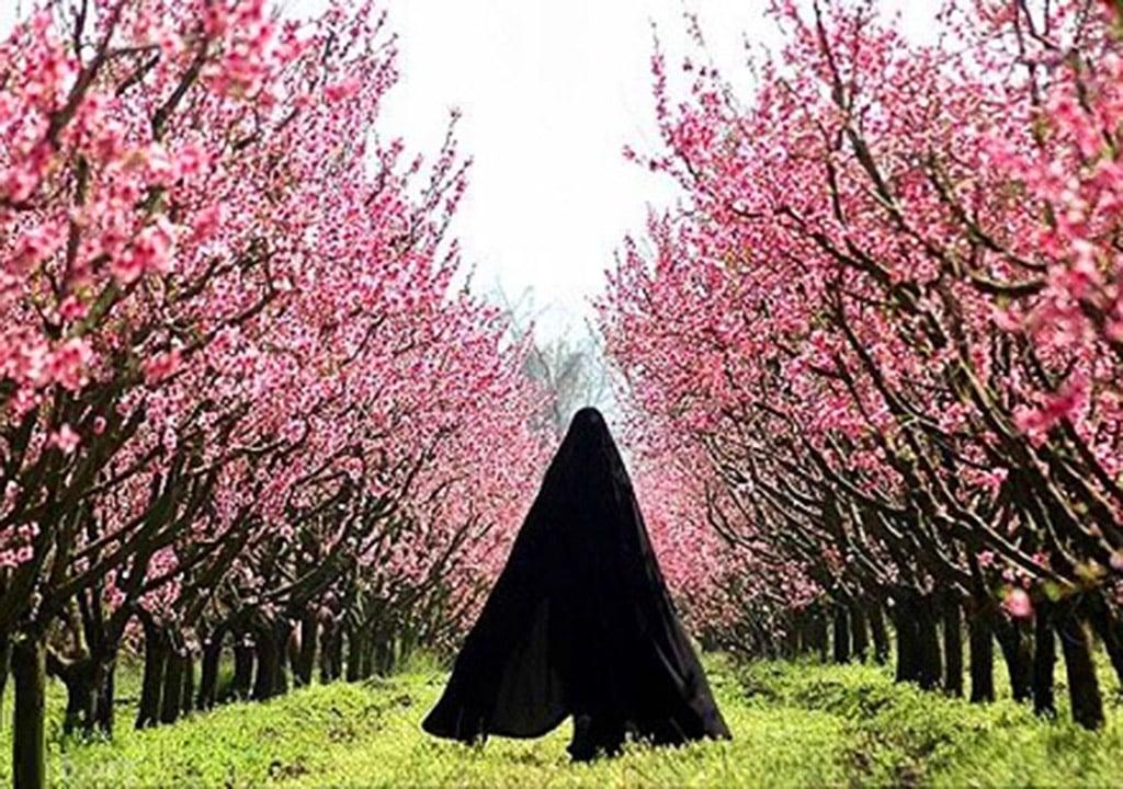 عکس دختر چادری در بهار