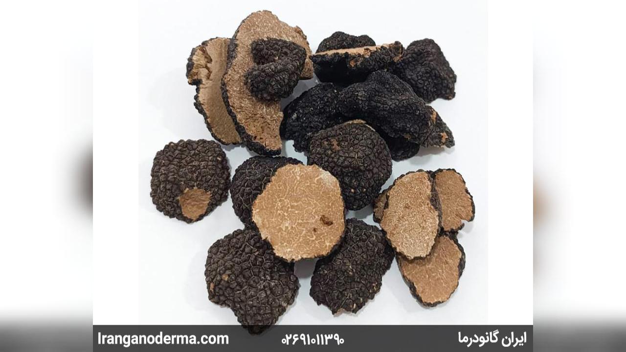 رازهای سلامتی و انرژی طبیعی با قارچ‌های دارویی