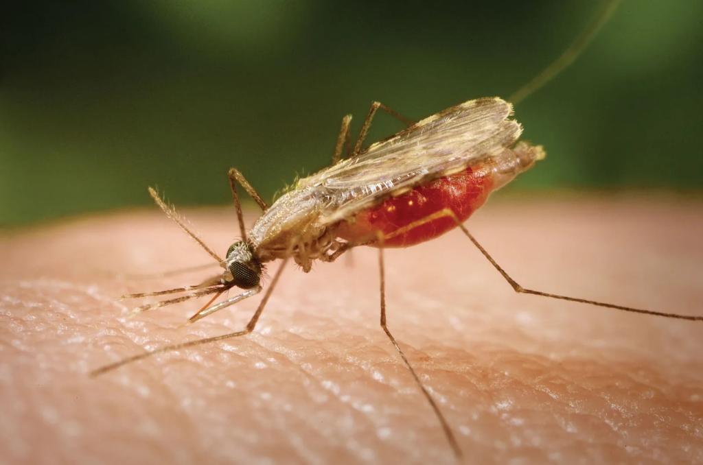 جلوگیری از مالاریا