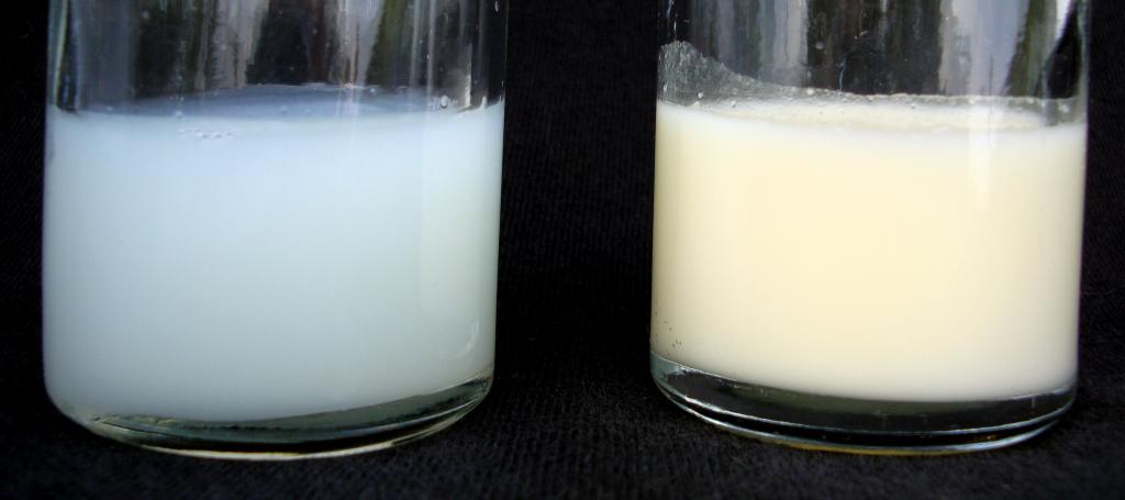 آیا بو یا ظاهر شیر مادر گرم شده با شیر تازه فرق دارد؟