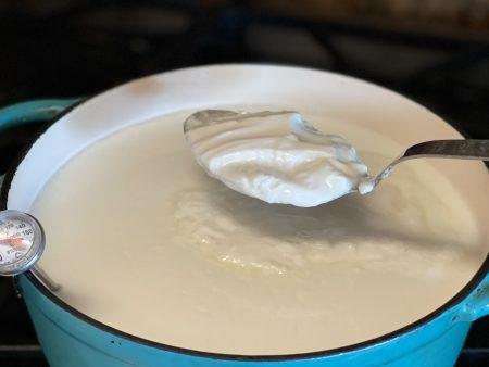 پنیر کاتیج پروبیوتیک با ماست