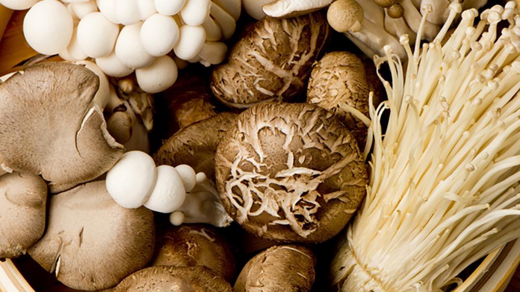 خواص قارچ خام و پخته برای سلامت زنان و مردان و پوست + مضرات