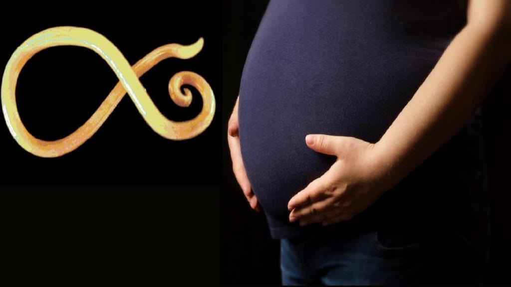 چگونه کرم های انگلی می تواند بر بارداری یک زن تاثیر بگذارد؟
