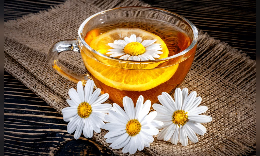 چای های گیاهی مفید در دوران حاملگی