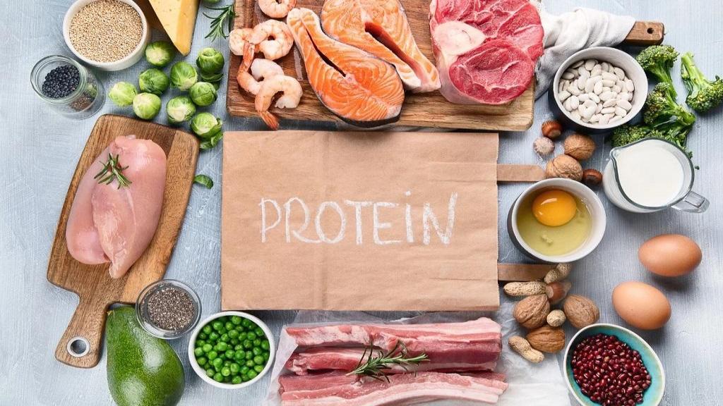 بهترین منابع پروتئین؛ غذا و خوراکی های پروتئین دار گیاهی و حیوانی