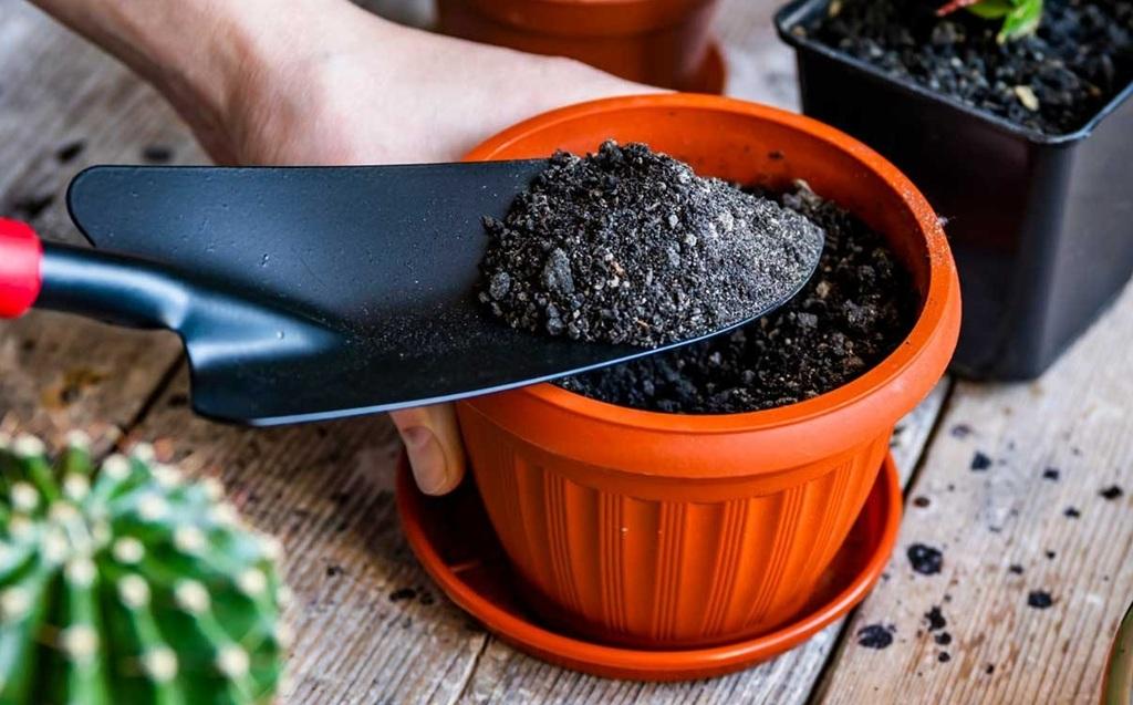 چگونه خاک سفت گلدان را نرم کنیم؟