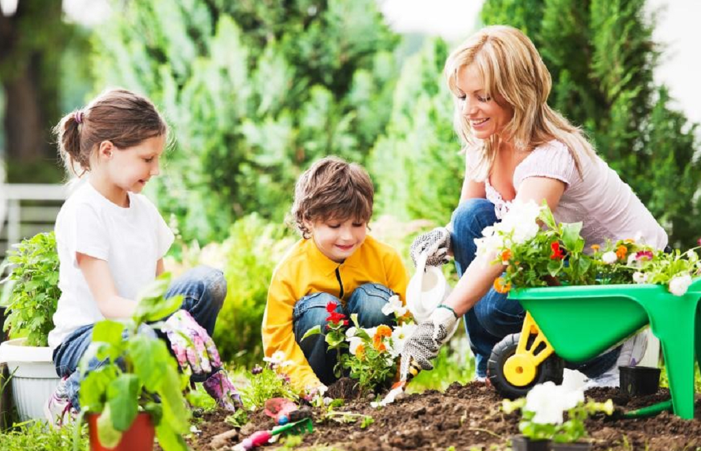 تاثیر باغبانی روی افزایش اعتماد به نفس