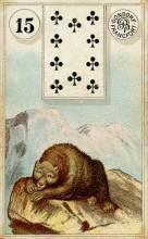 معنی کارت درخت + خرس در فال لنورماند