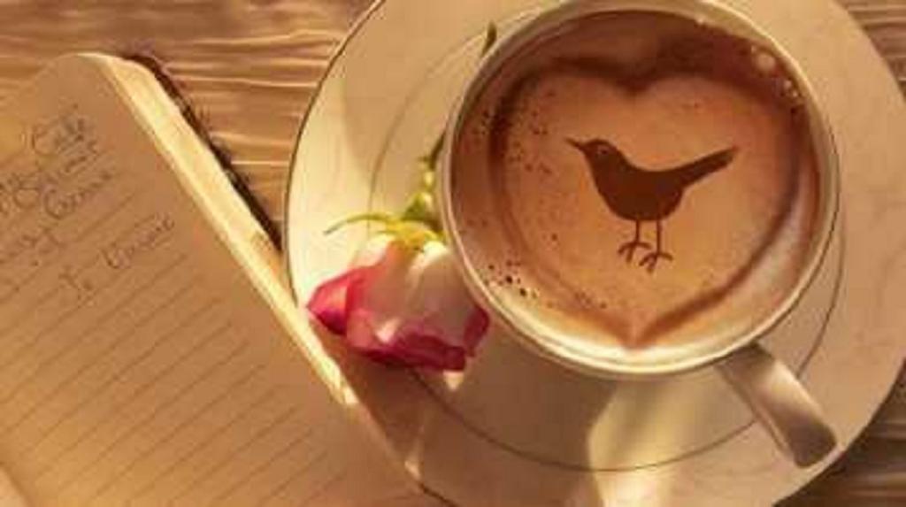 معنی و تعبیر دیدن پرنده در فال قهوه