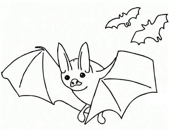 نقاشی خفاش برای کودکان 10