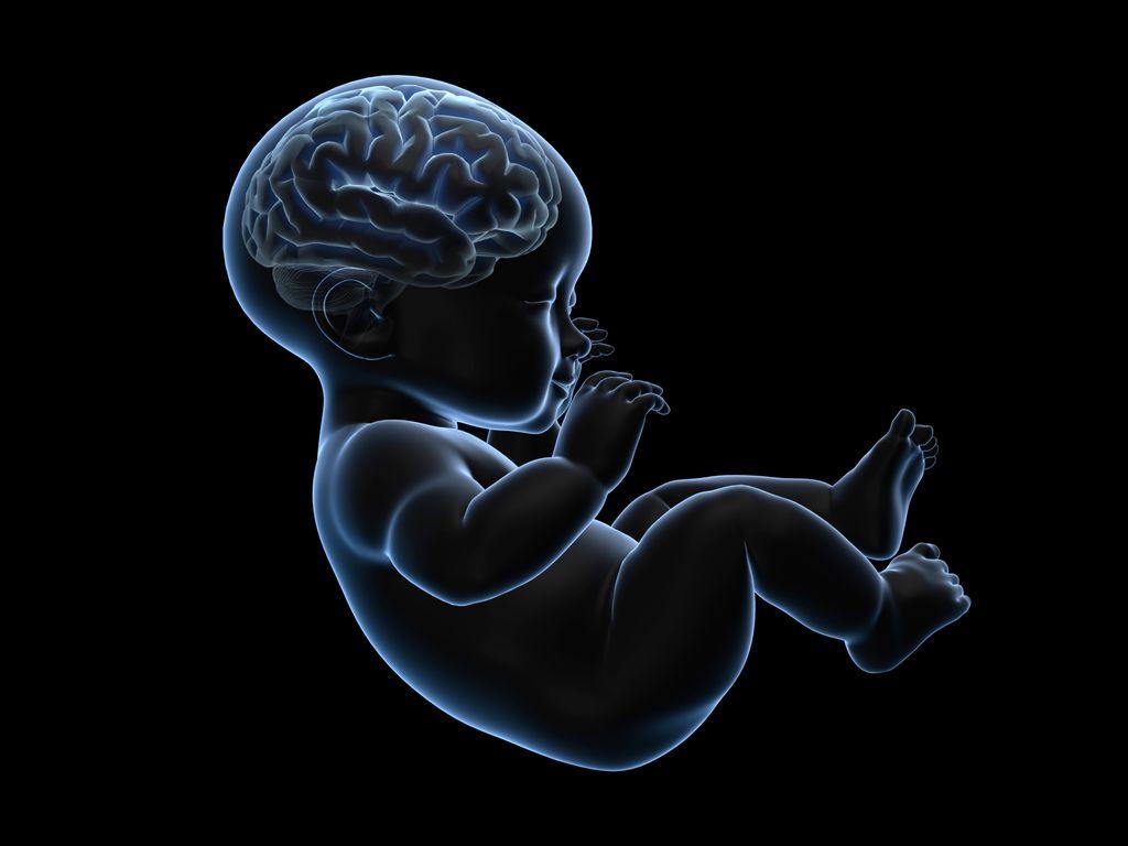 استرس بارداری منجر به تغییر در مغز کودک می شود