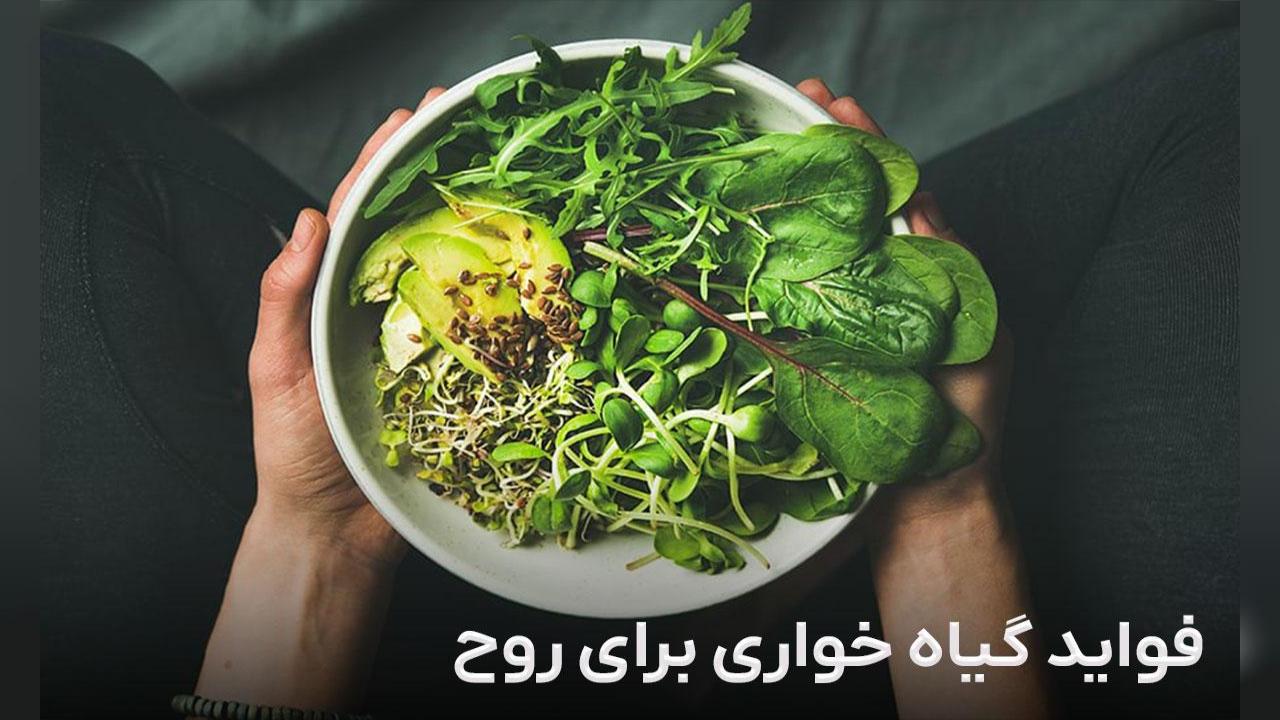 فواید گیاه خواری برای روح