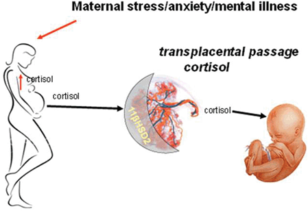 روش های کنترل استرس در بارداری