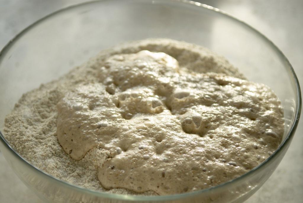 نکات مهم در هنگام تهیه خمیر مایه و خمیر مایه فوری
