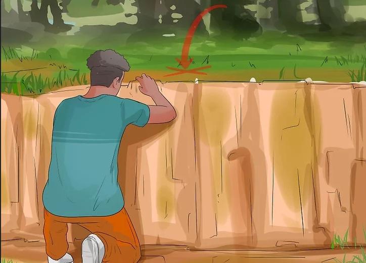 روش&zwnj;های به دام انداختن کایوت 6