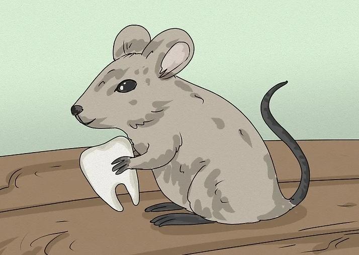 پری دندان و ریشه افسانه&zwnj;ها 5