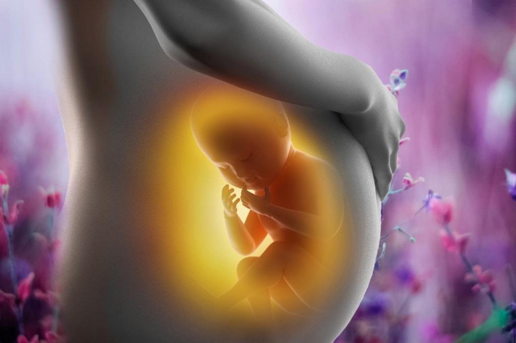 حرکت جنین در هفته بیست و دوم