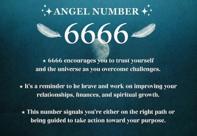 عدد فرشته 6666 1
