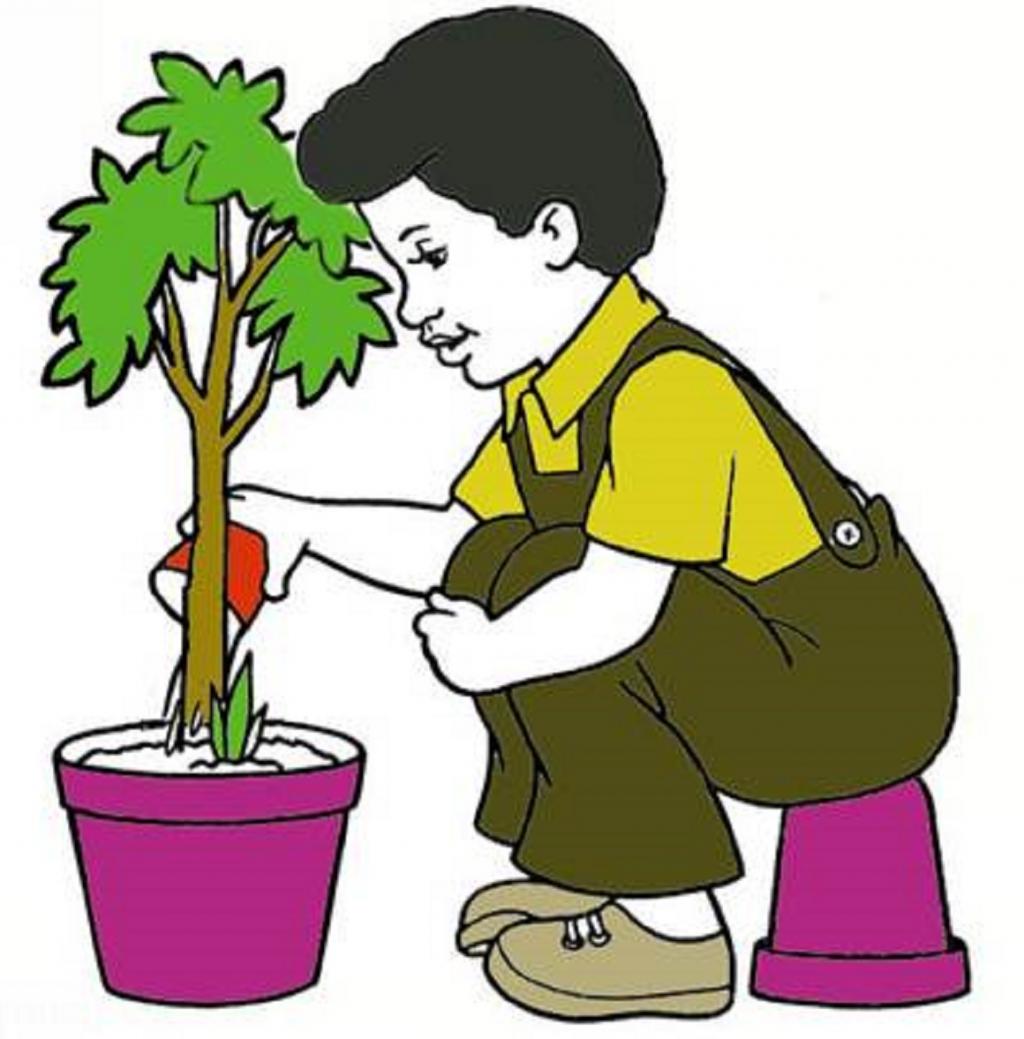 نقاشی روز درختکاری پسرانه 3
