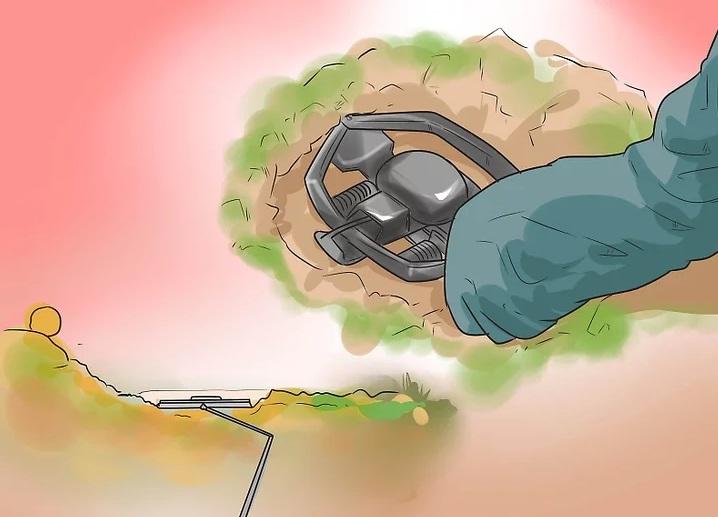 روش&zwnj;های به دام انداختن کایوت 11