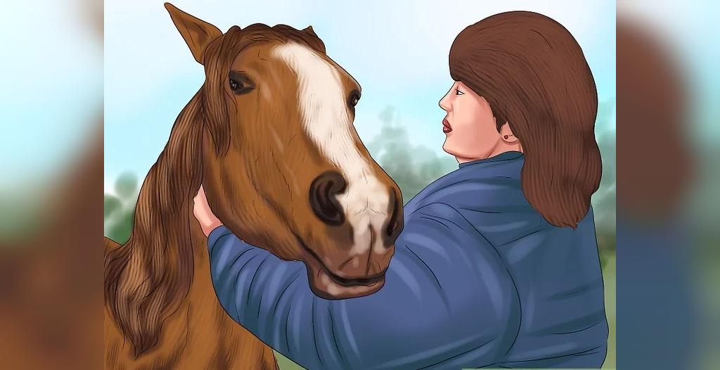 چگونه به اسب نزدیک شویم؟