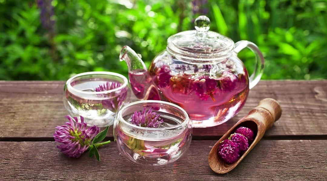 بهترین چای کاهش علائم یائسگی 4