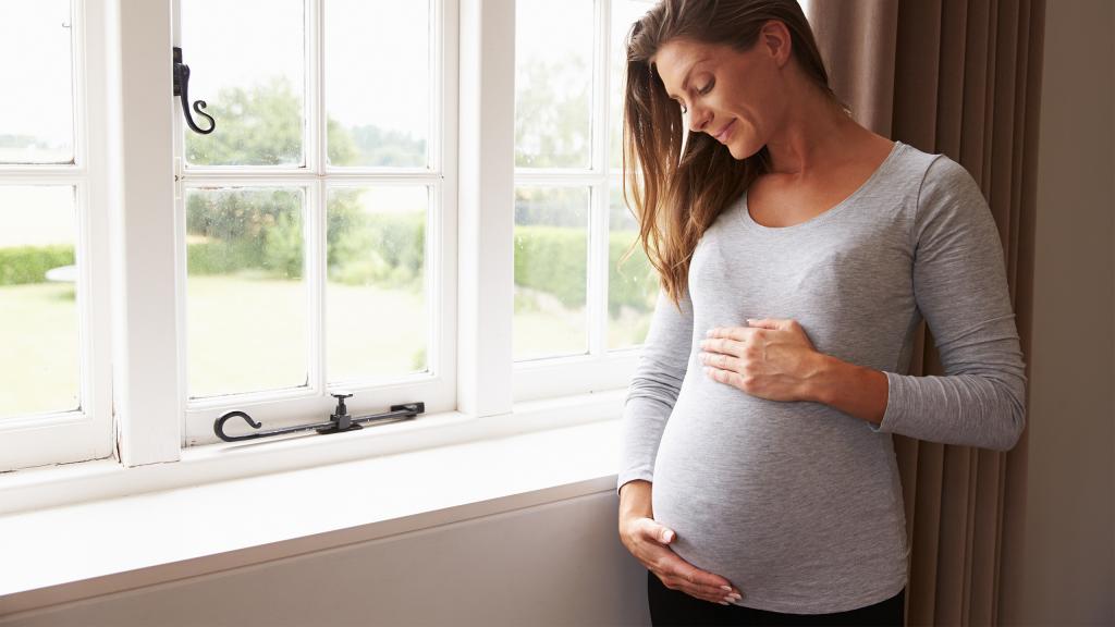 فواید متعدد کاسنی برای زنان باردار