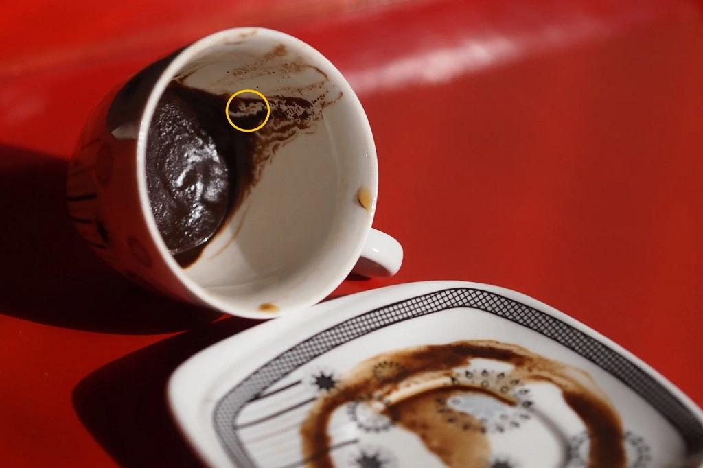 معنی و تفسیر دیدن کروکودیل در فال قهوه 1