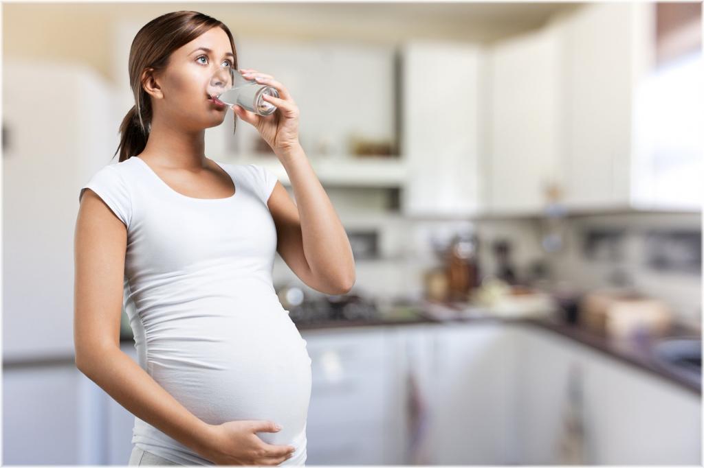 منابع سرشار از ویتامین ها و مواد معدنی  برای مادر و جنین