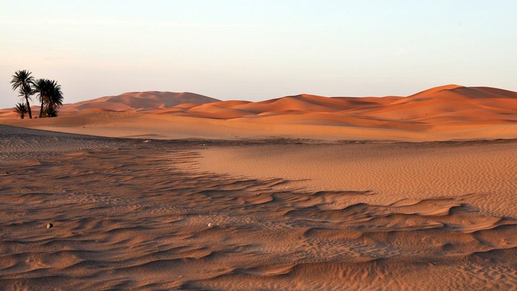 تعبیر خواب بیابان 3