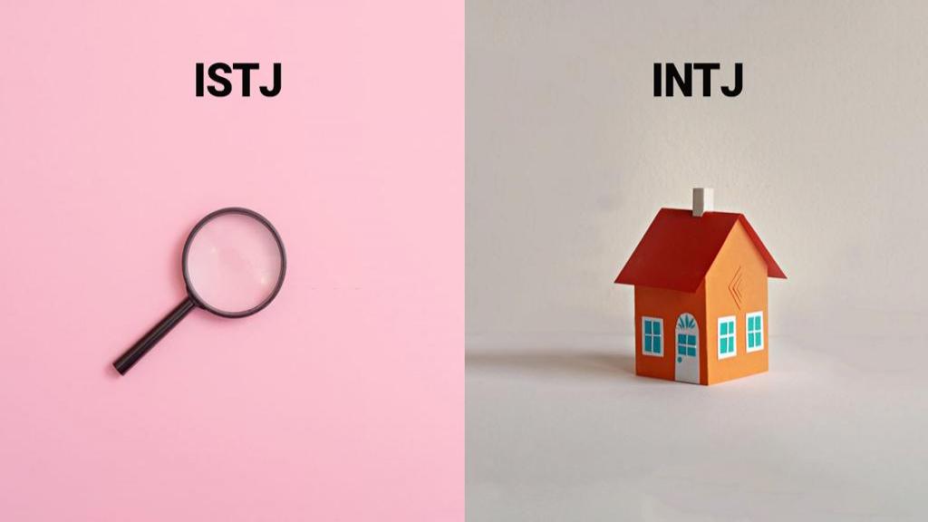 شباهت، تفاوت و روابط تیپ شخصیتی ISTJ و INTJ  + ویژگی های آنها