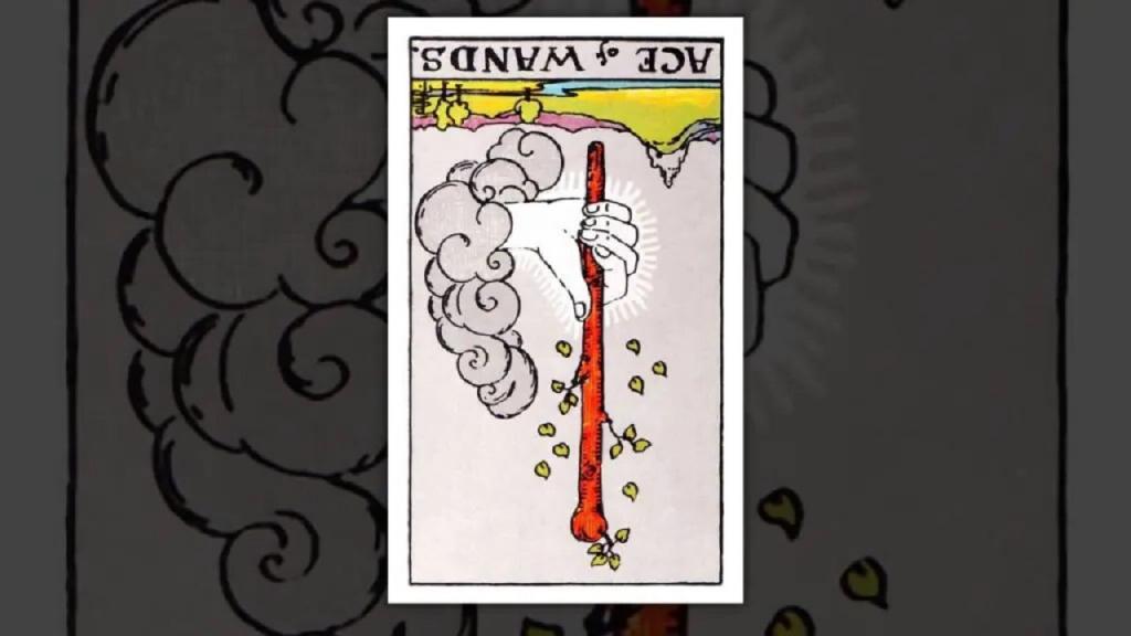 فال تاروت تک کارتی متولدین اردیبهشت