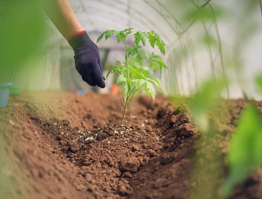 چرا نمک اپسوم در باغبانی مؤثر نیست؟