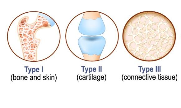 فرم‌های مکمل کلاژن