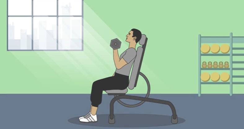 ورزش هایی که میتوانیم در خانه انجام دهیم 15