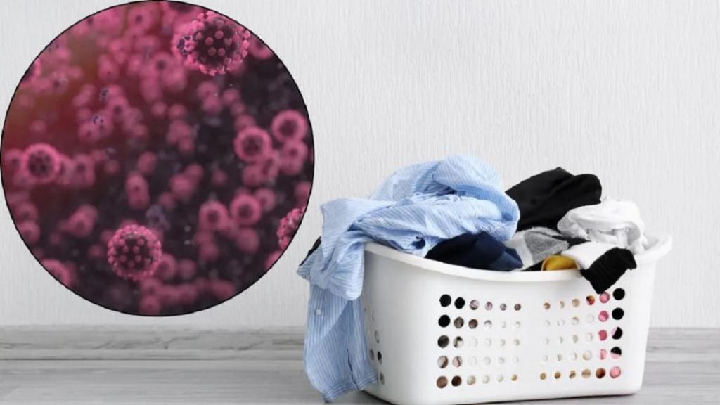 از انواع میکروب های خطرناکی که با لباستان وارد خانه می کنید چه می دانید؟