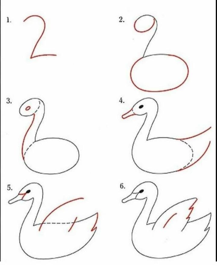 نقاشی حیوانات با عدد 2 انگلیسی 10