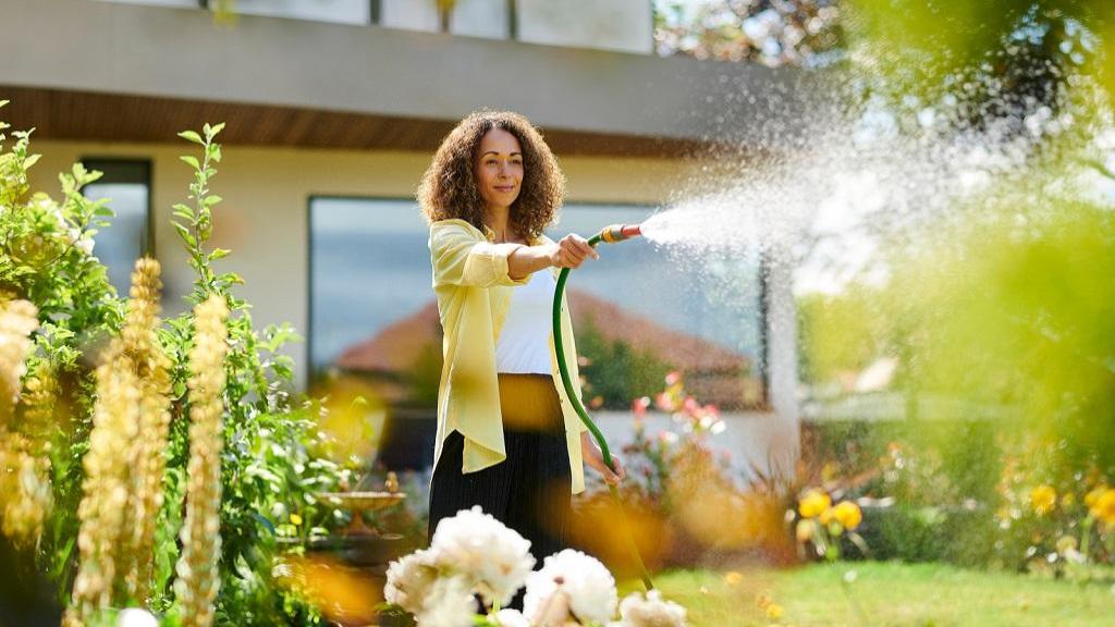 بهترین زمان آبیاری چمن در روزهای آفتابی برای نگهداری آن چه زمانی است؟
