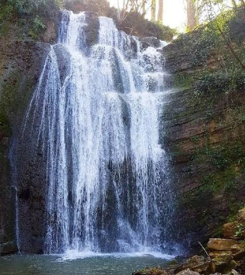 جاهای دیدنی لنگرود 3
