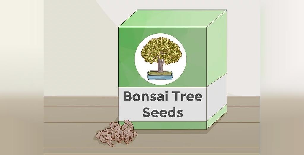 آموزش شکل دهی و پرورش درخت بونسای