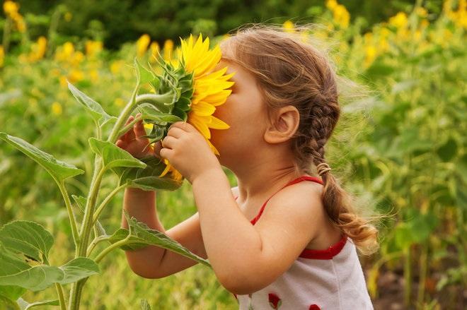 تعبیر خواب بوی خوش 2