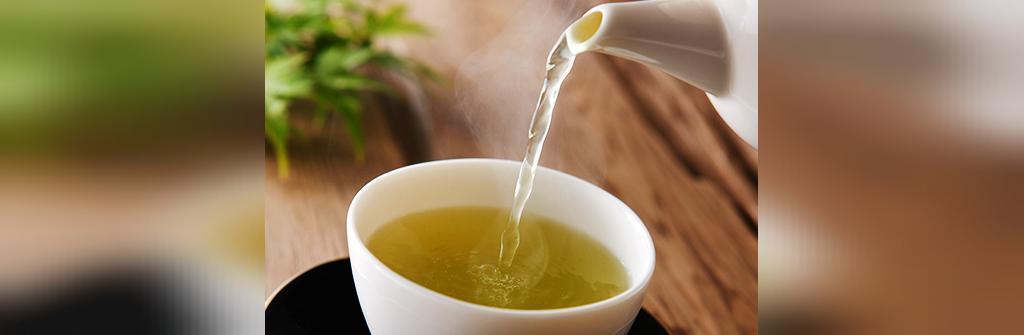 خوردن چای سبز به داشتن کبد سالم کمک میکند
