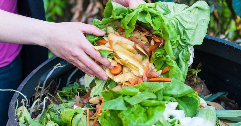 نحوه آماده&zwnj;سازی باغ برای بهار 3