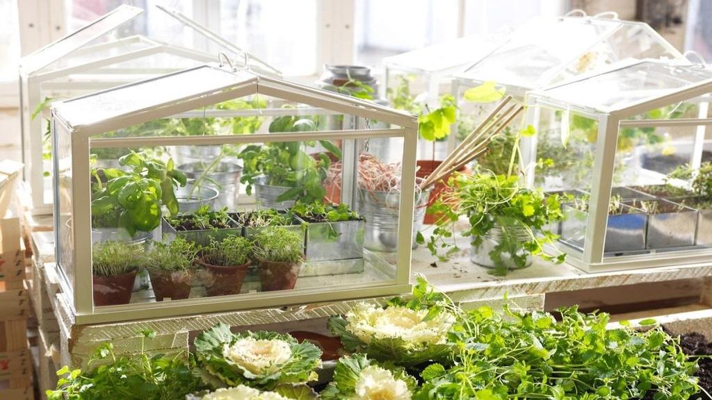 22 مدل از انواع گلخانه های خانگی ارزان و کم جا در اتاق، تراس و حیاط