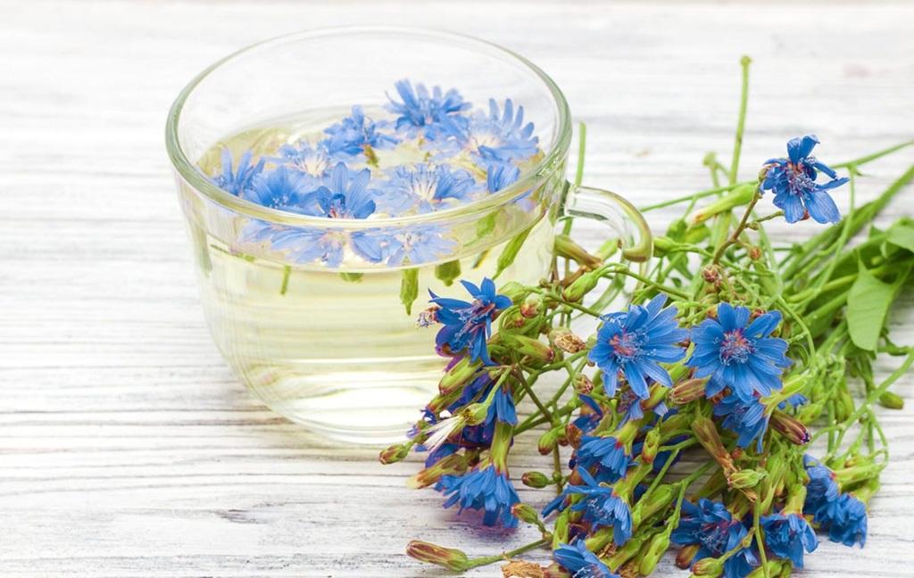 چه دمنوش هایی در بارداری ممنوع است؟