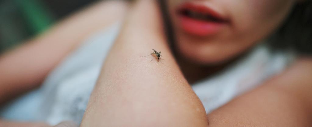 خواص پوست موز برای درمان نیش حشرات
