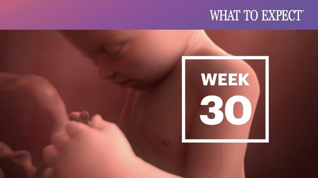 هفته سی ام بارداری؛ آزمایشات، سونوگرافی و تغذیه هفته 30 بارداری
