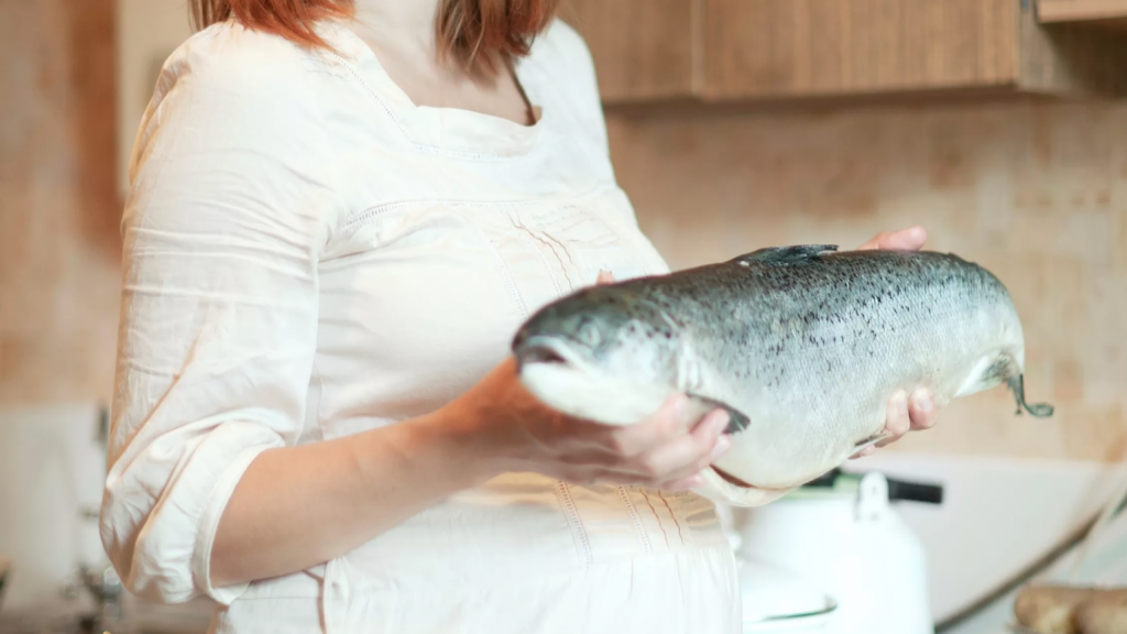 تاثیر مصرف ماهی در دوران بارداری؛ انواع ماهی های مفید و میزان مصرف آنها در طول دوران حاملگی
