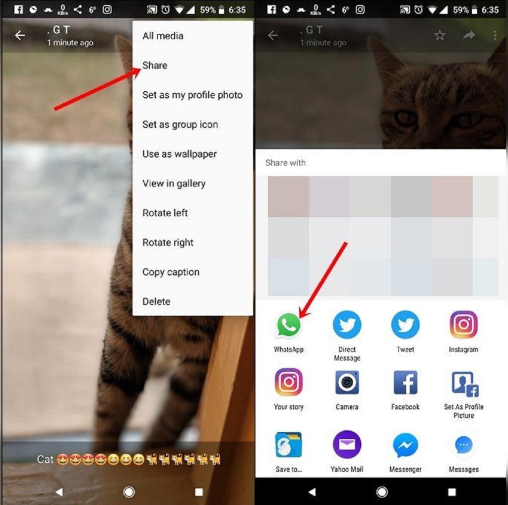 نحوه فوروارد کردن عکس با کپشن در واتساپ 